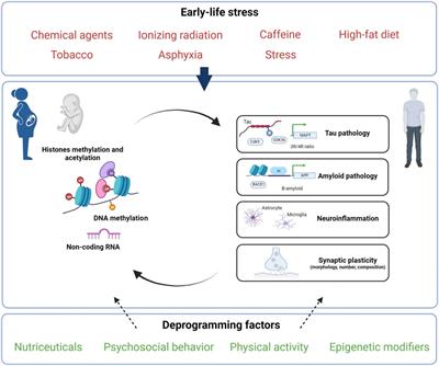 Early-Life Environment Influence on Late-Onset Alzheimer’s Disease